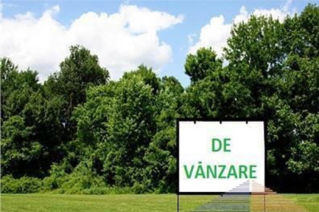 Teren intravilan, 12.200mp, zona Francei. (2 parcele-se va