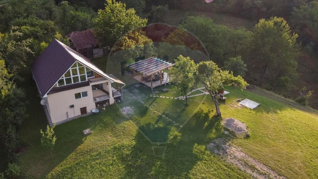 Hotel/Pensiune de vânzare cu 16 camere, Punct de Frontie...