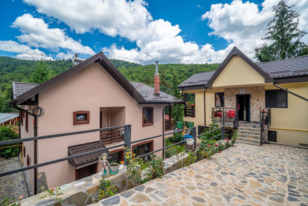 Pensiune Busteni, 14 camere, teren 900 mp, zona Libertatii,