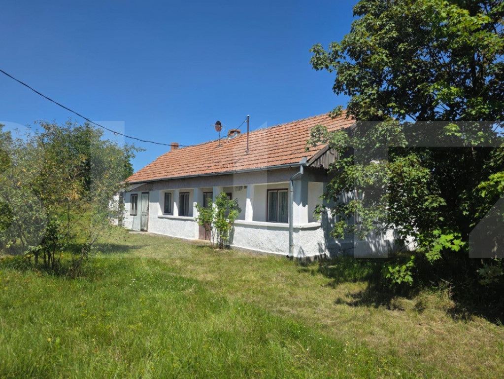 Casa tărănească in centru- Hătuica
