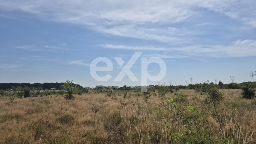 Teren 1650 mp intravilan Trivale - Olteni – cadru natural