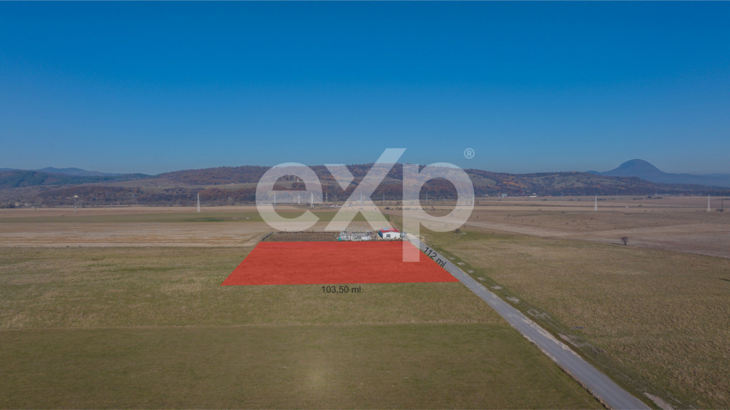 Teren 11.600 mp – Râșnov, zona Tabăra, 230 m de DN 73
