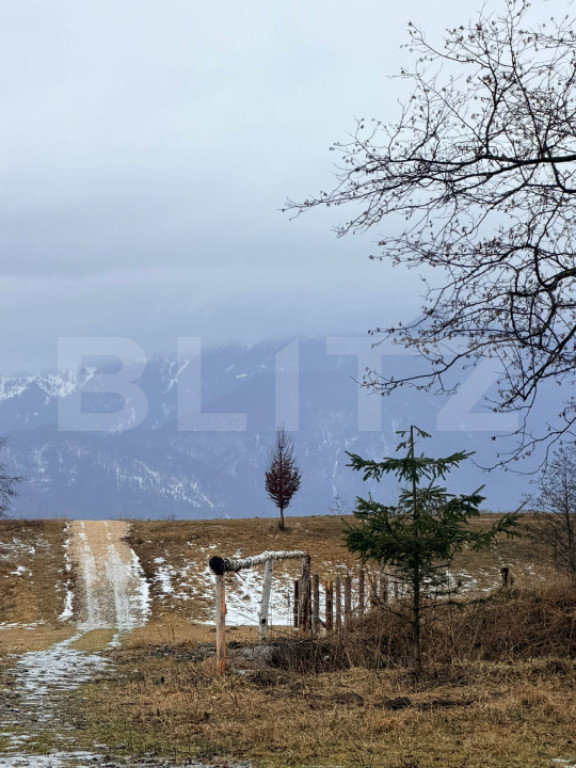 Teren în suprafață de 80.000 mp, situat în Glăjerie –