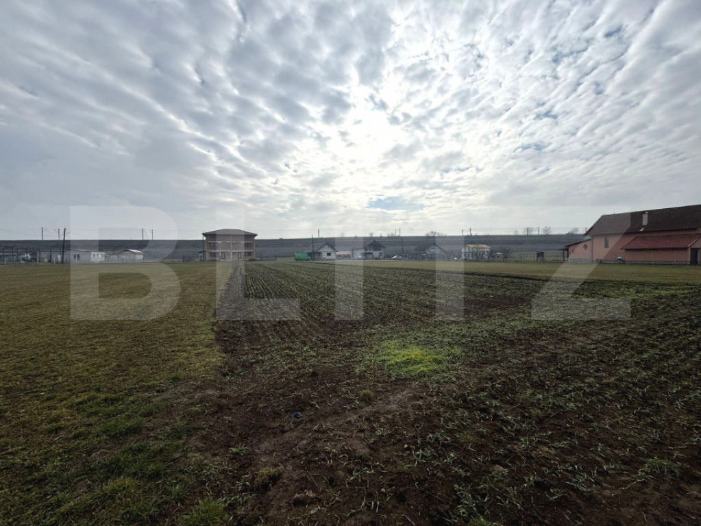 Teren intravilan 1.600 mp | Vințu de Jos