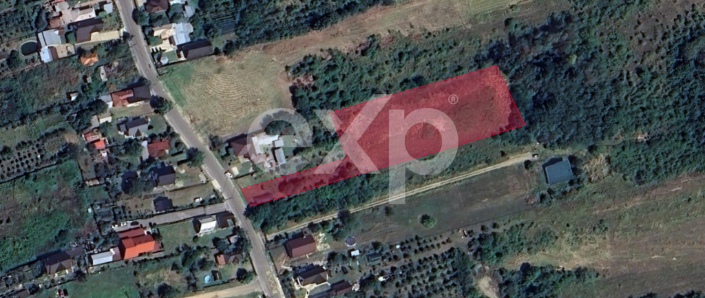 Teren 5.000 mp de vânzare – Zona Dealu Viilor (Mosoaia),