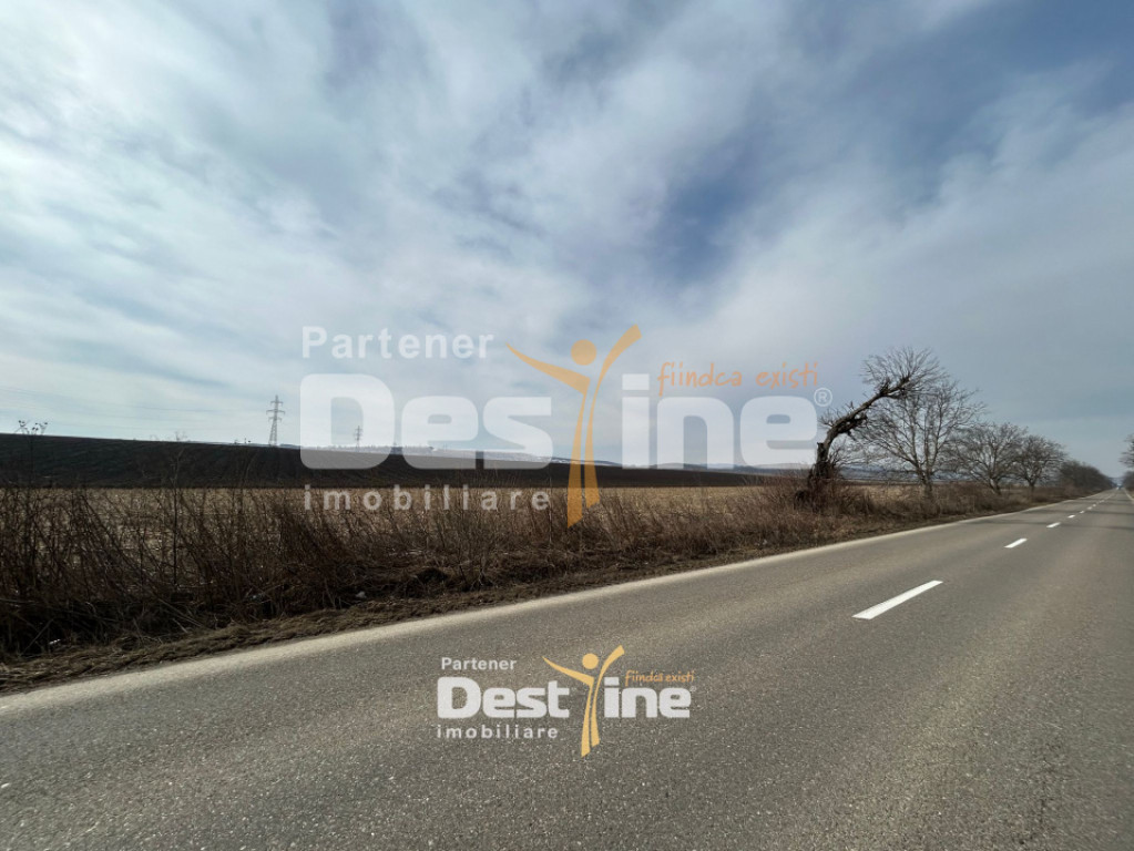 Teren de vanzare Caciulesti 10.050 Euro 1300mp