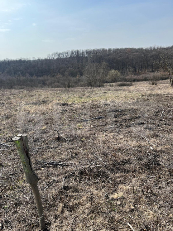 De vânzare Casă Nouă, finisată, 4 camere - Paleu