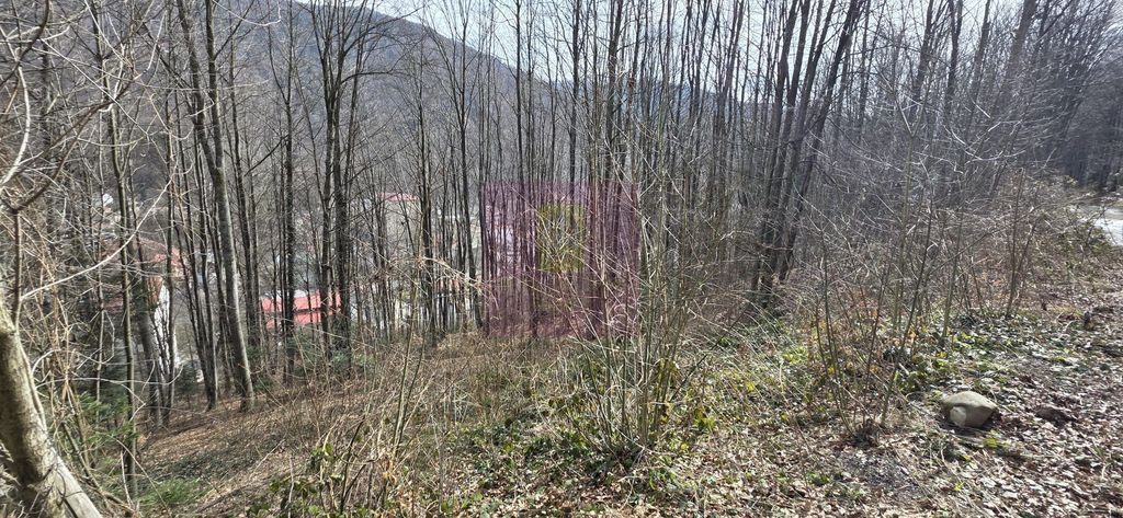Tere intravilan de vanzare in Sinaia