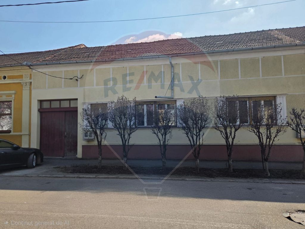 Casă deosebita ultracentral Salonta