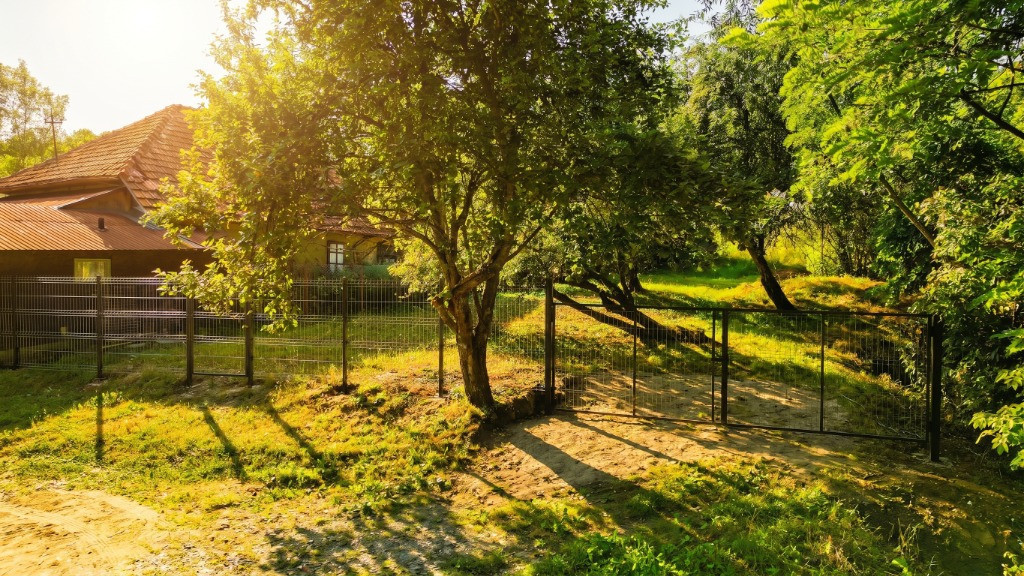 Teren de 11700 mp în mijlocul naturii la 2 ore de București