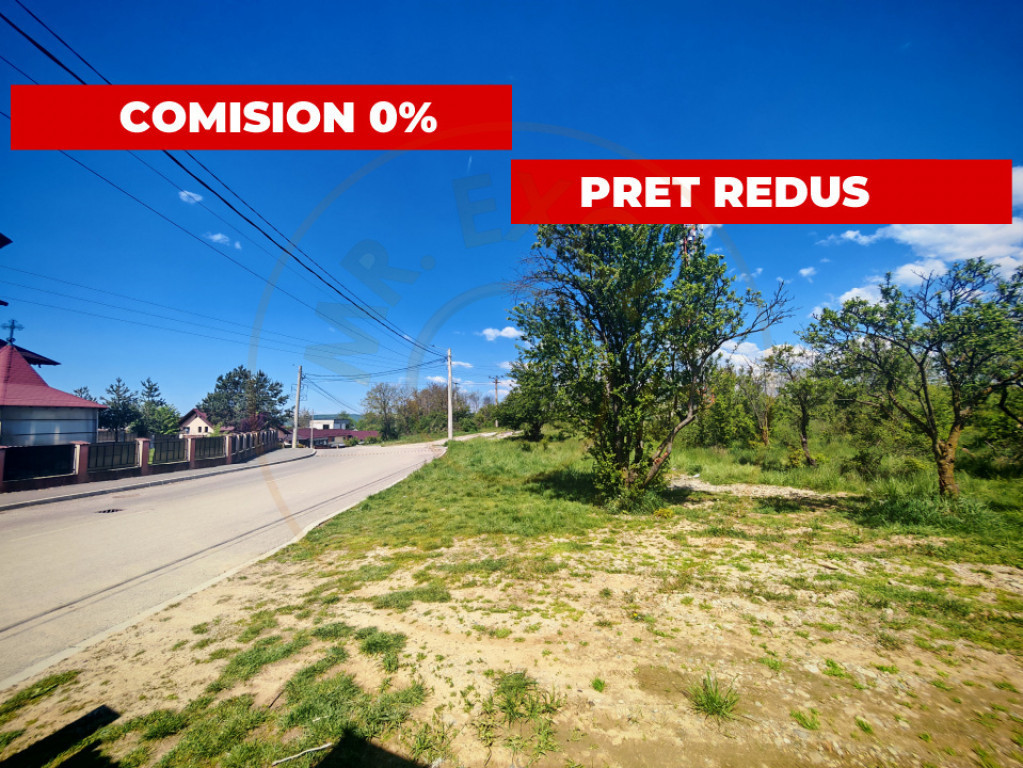 Teren intravilan în Mioveni 2000 mp