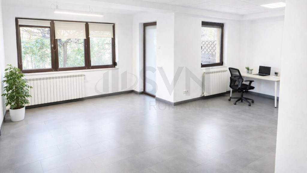 Vila 7 camere Floreasca spatiu birouri