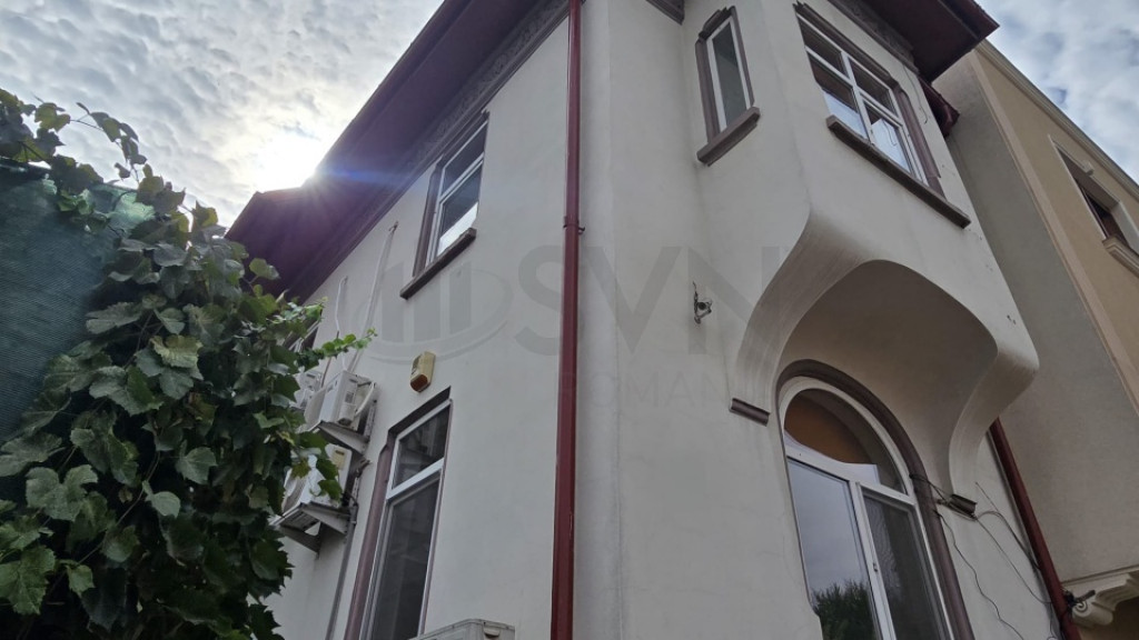 Vila de Mosilor_