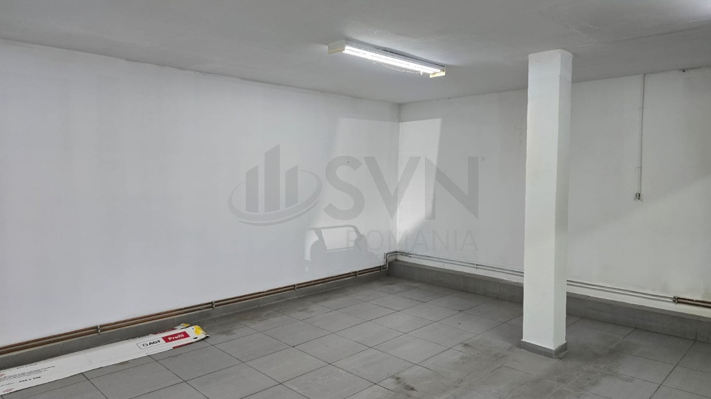 Spatiu comercial Ion Mihalache