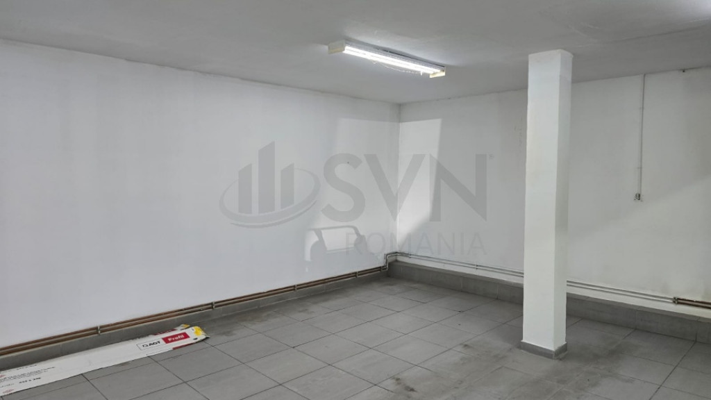 Spatiu comercial Ion Mihalache