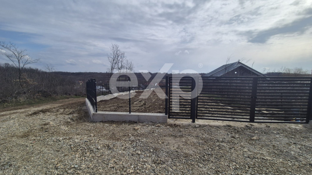 Teren 1.500 mp lângă pădure, Albota – liniște, natură
