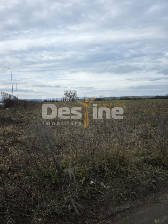Teren intravilan 4028 mp, str Dimitrie Cantemir, Vaslui