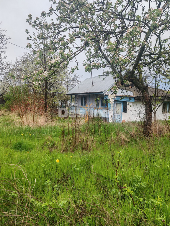 Teren intravilan in suprafata de 3160 mp, Puscasi, Poiana lu