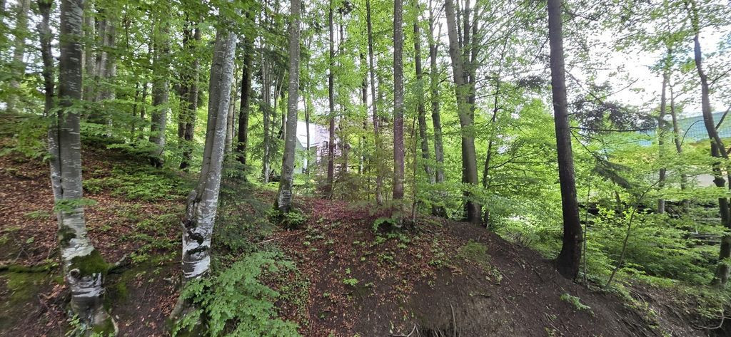 Teren intravilan 720 mp Sinaia