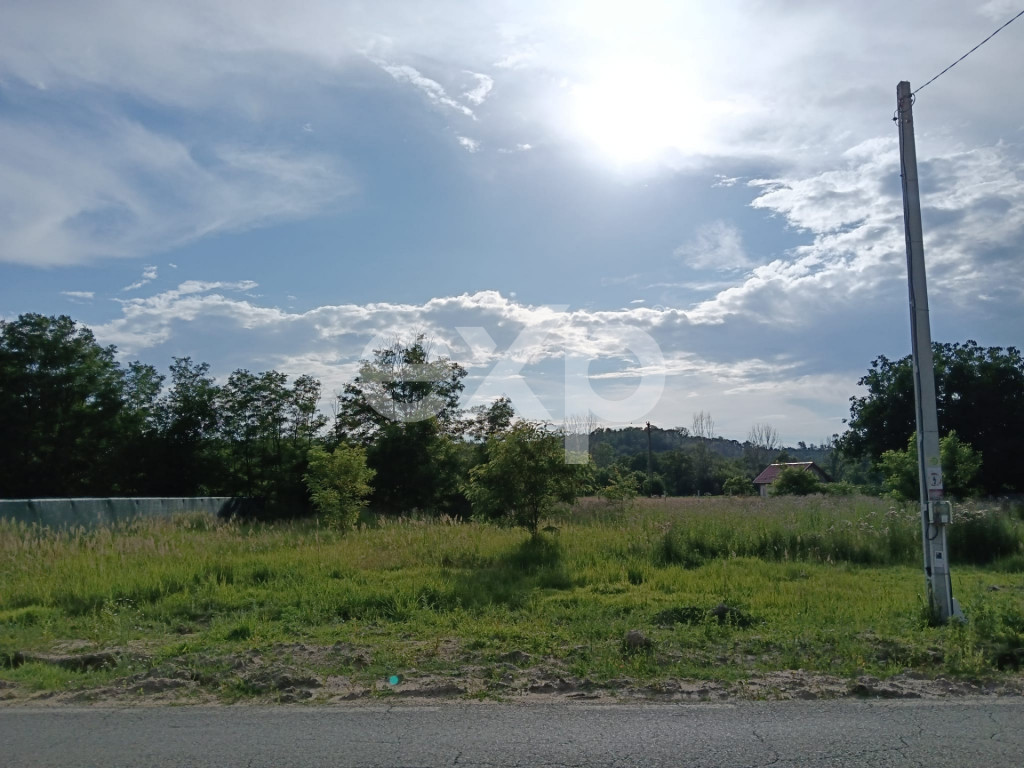 Casă tradițională cu 2029 MP, livadă, puț propriu