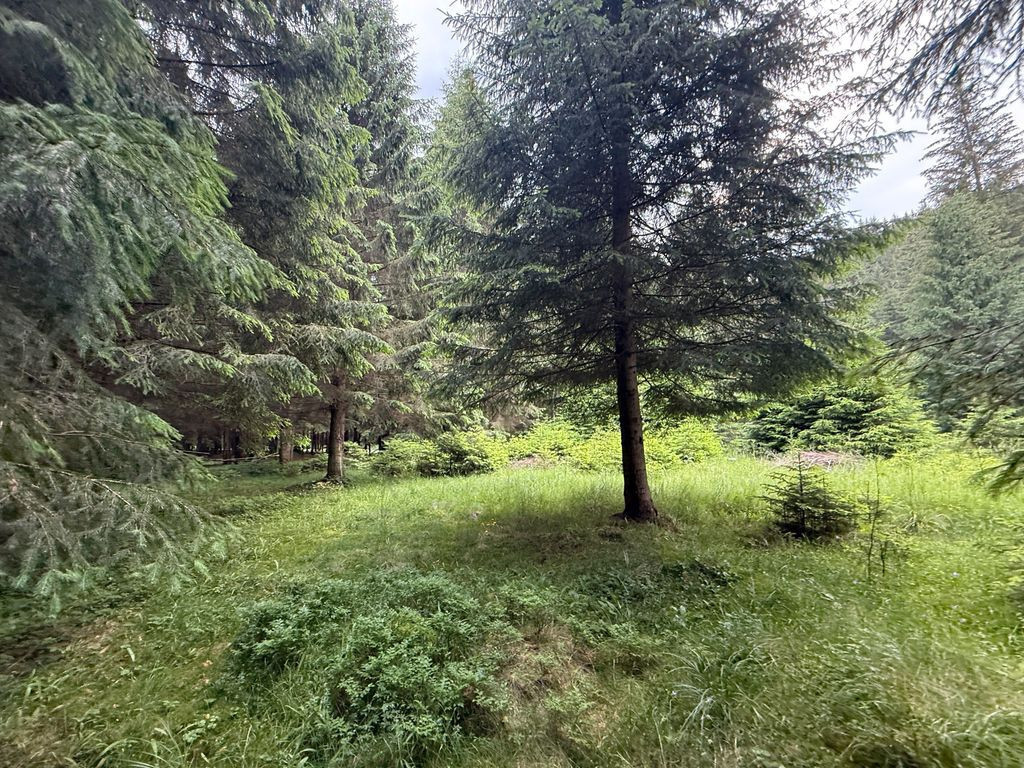 Teren intravilan de vânzare-COMANDAU /COVASNA-2500mp