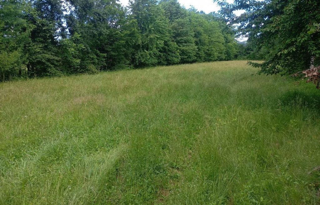 Teren 1773 mp | Prahova | Banesti | Urleta | Campina