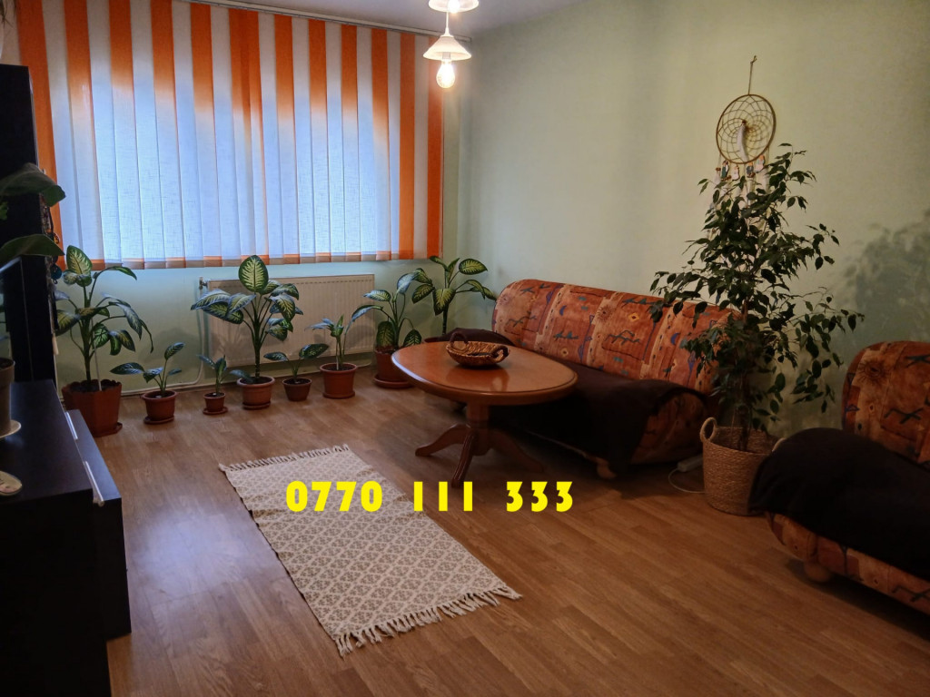 Apartament 3 camere Buzaului