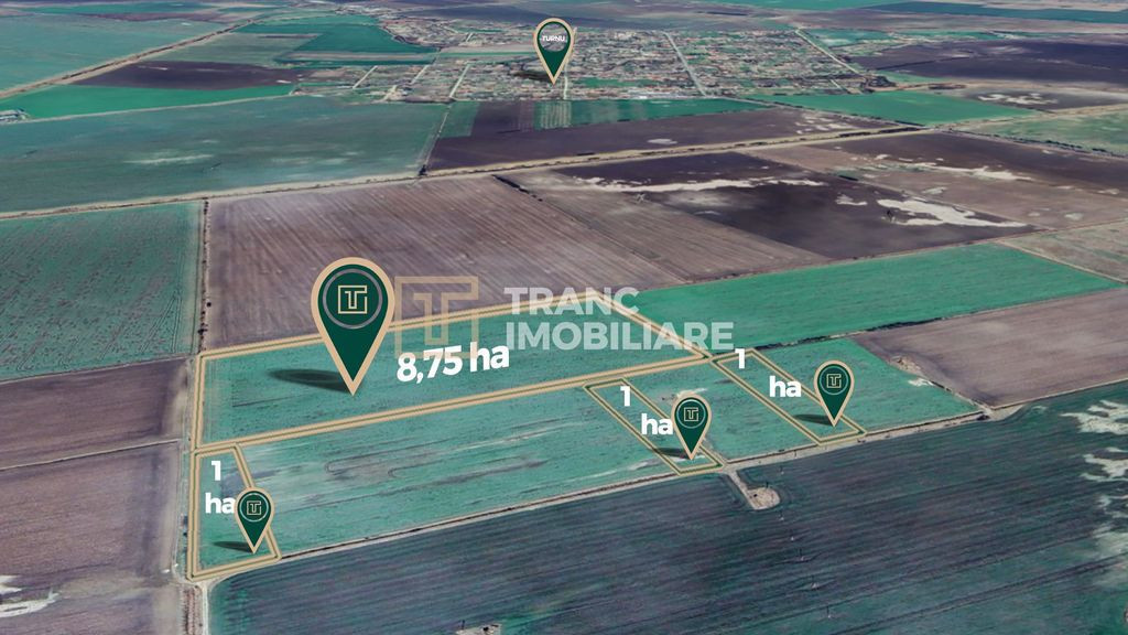 Teren agricol de 11,75 ha de vânzare, la 1,5 km de Turnu...