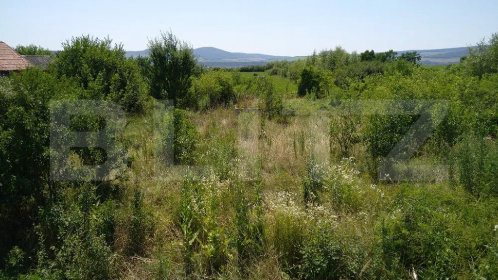 Teren intravilan de vanzare, 35 ari, DN 17, zona Podirei