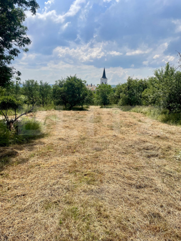 Teren intravilan 3.200 mp | Budacu de Jos | Deschidere la 2