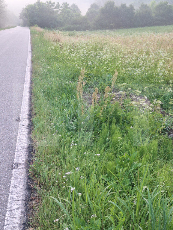 Vand teren la sosea in localiratea Jena