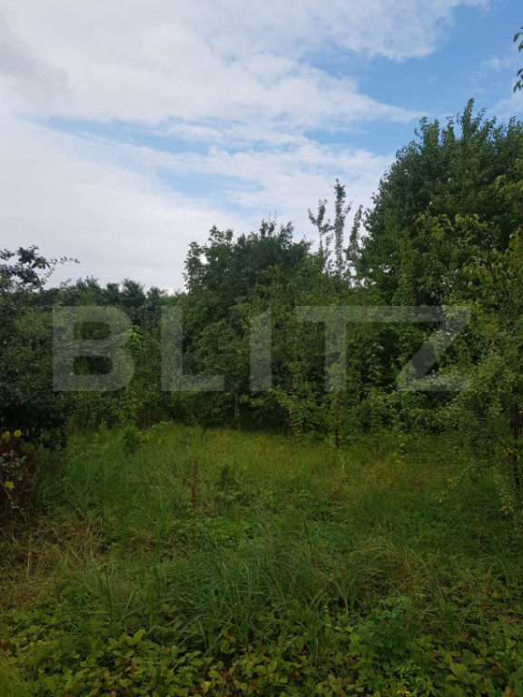 Teren 2.500 mp Șos. Bârnova, la 1 km de Șos. Bucium | 300