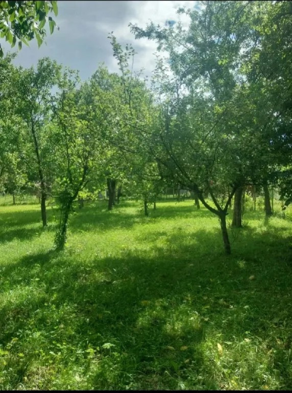 Teren de vânzare, Prahova, Comarnic, str. Podu Lung nr. 69, 1000mp