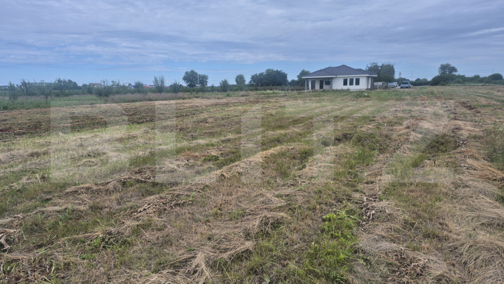 Teren intravilan de vanzare, 1000 mp, in Martinesti