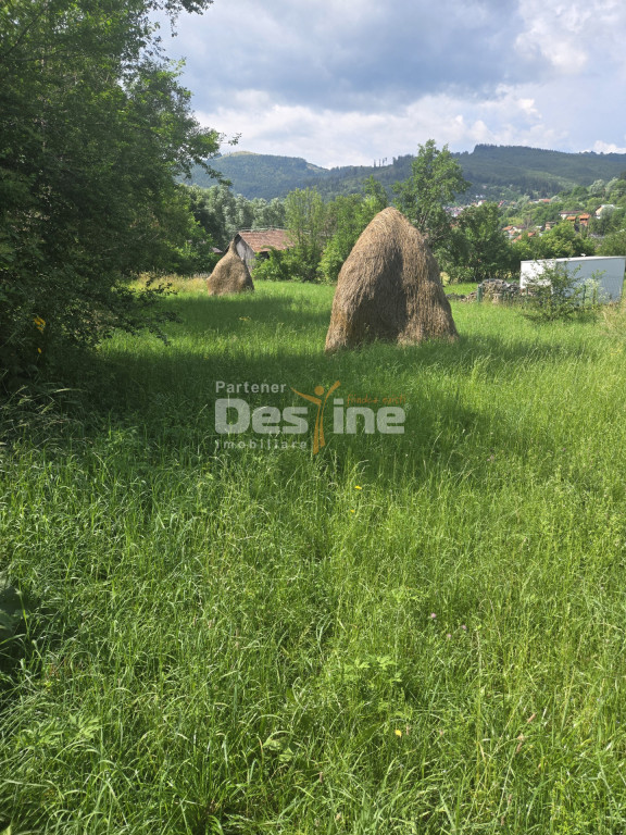 VAND TEREN VALEA DOFTANEI ZONA ERMENEASA 1030 MP