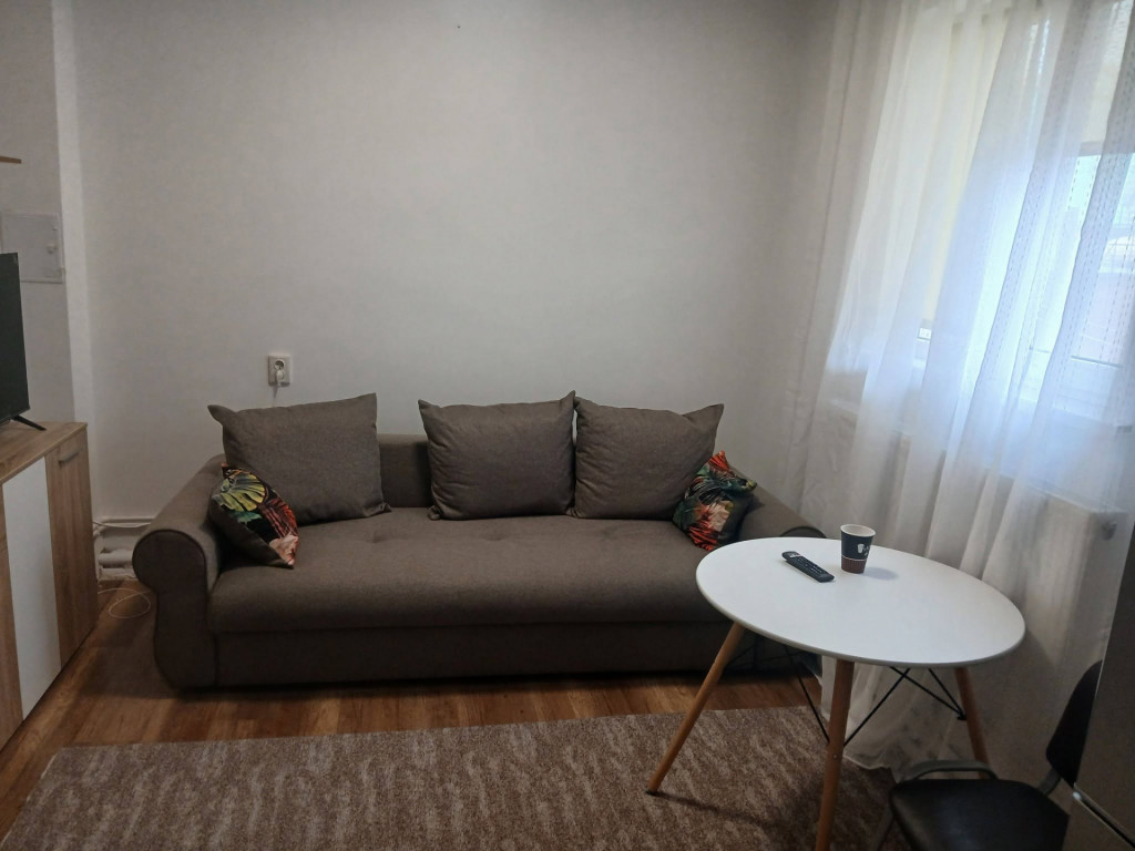 290 euro! Garsoniera, Alexandru cel bun