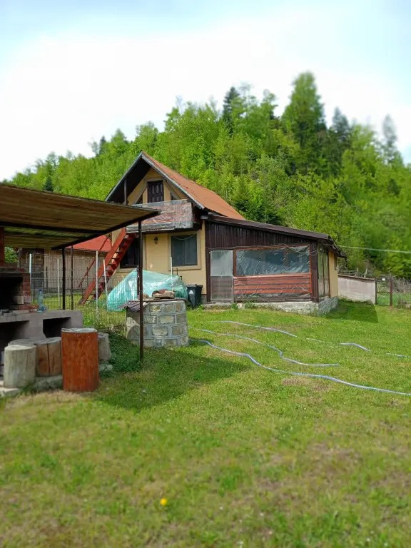 Casă / Vilă 10 camere Lepsa