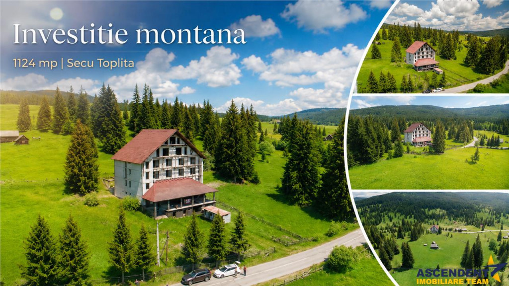 Complex montan 1.124 mp, Toplita Secu, investitie: turistica