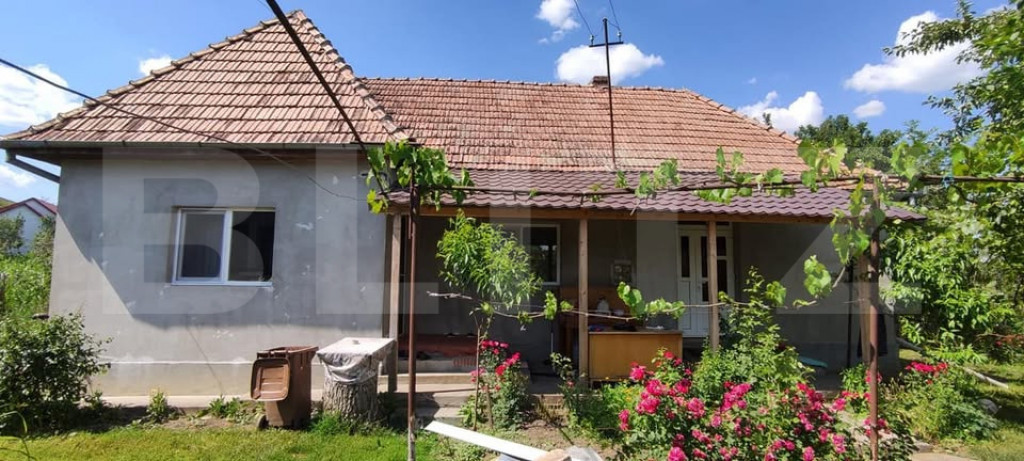 Casă de vânzare în Iclandu Mare – 3 camere, teren 2.323