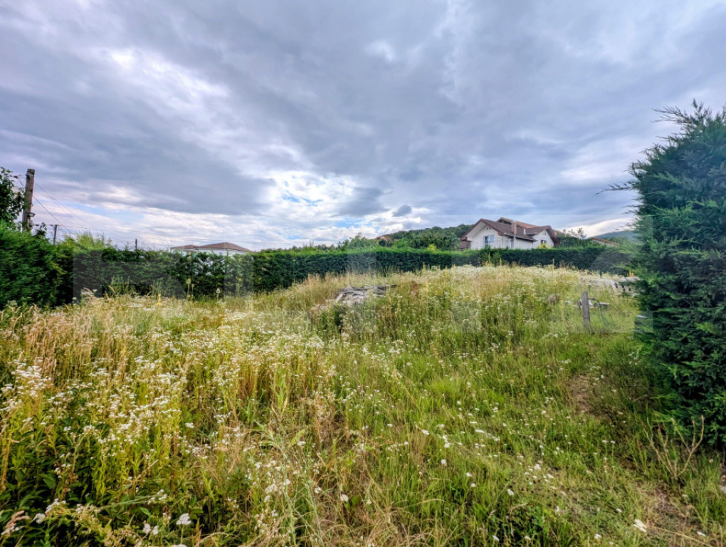 Teren intravilan, 478 mp, zona Micesti - partea cu padurea