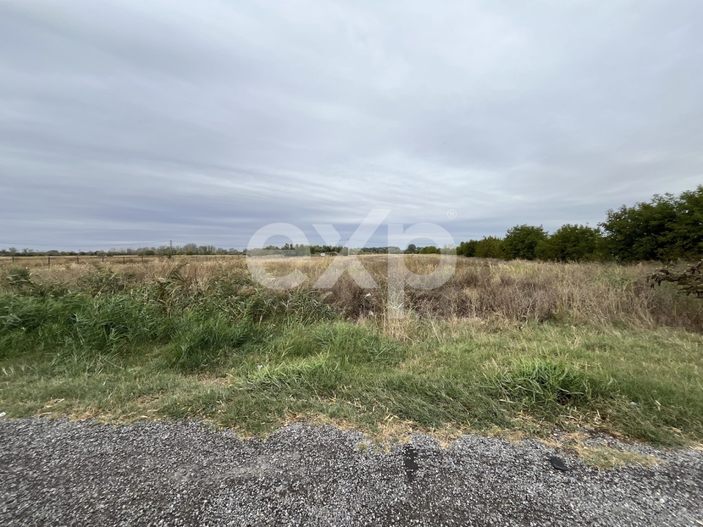 Teren intravilan premium 15.000 mp la DN61 lângă Centura G