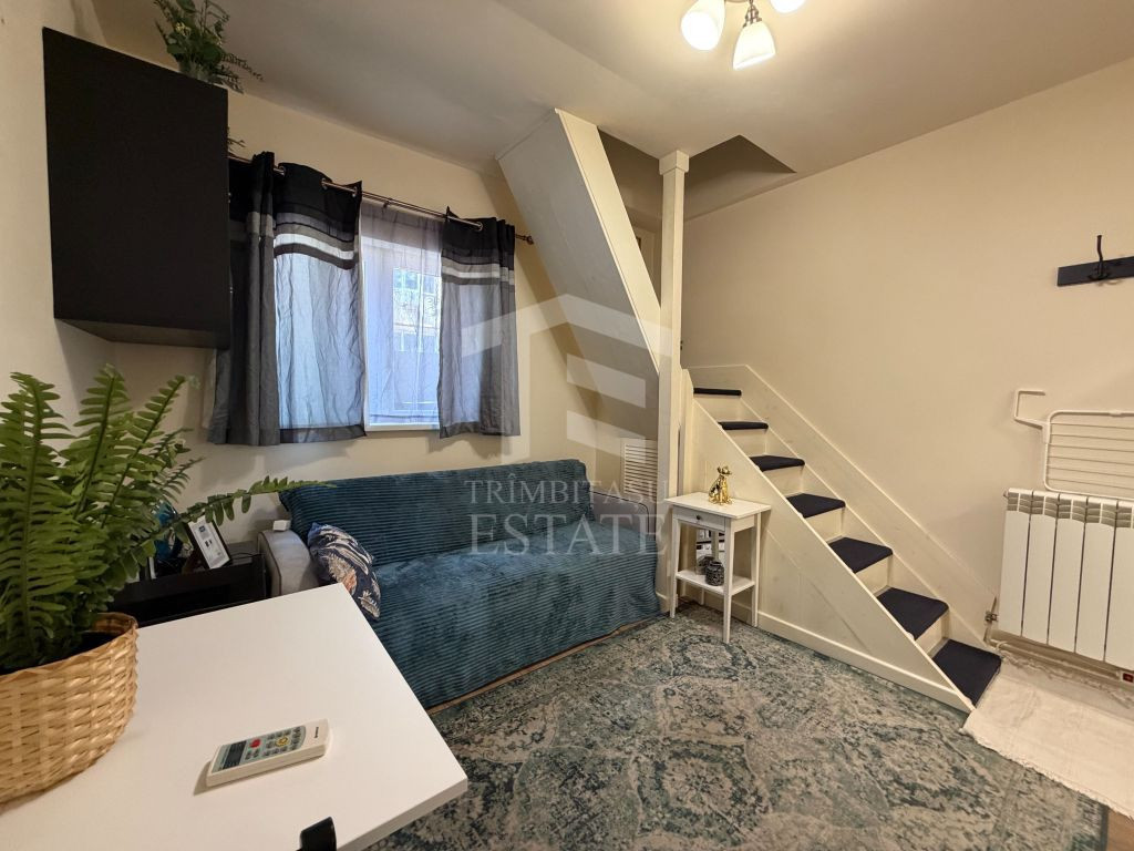 PARCUL CAROL - Viilor | Chirie Casa 2 Camere