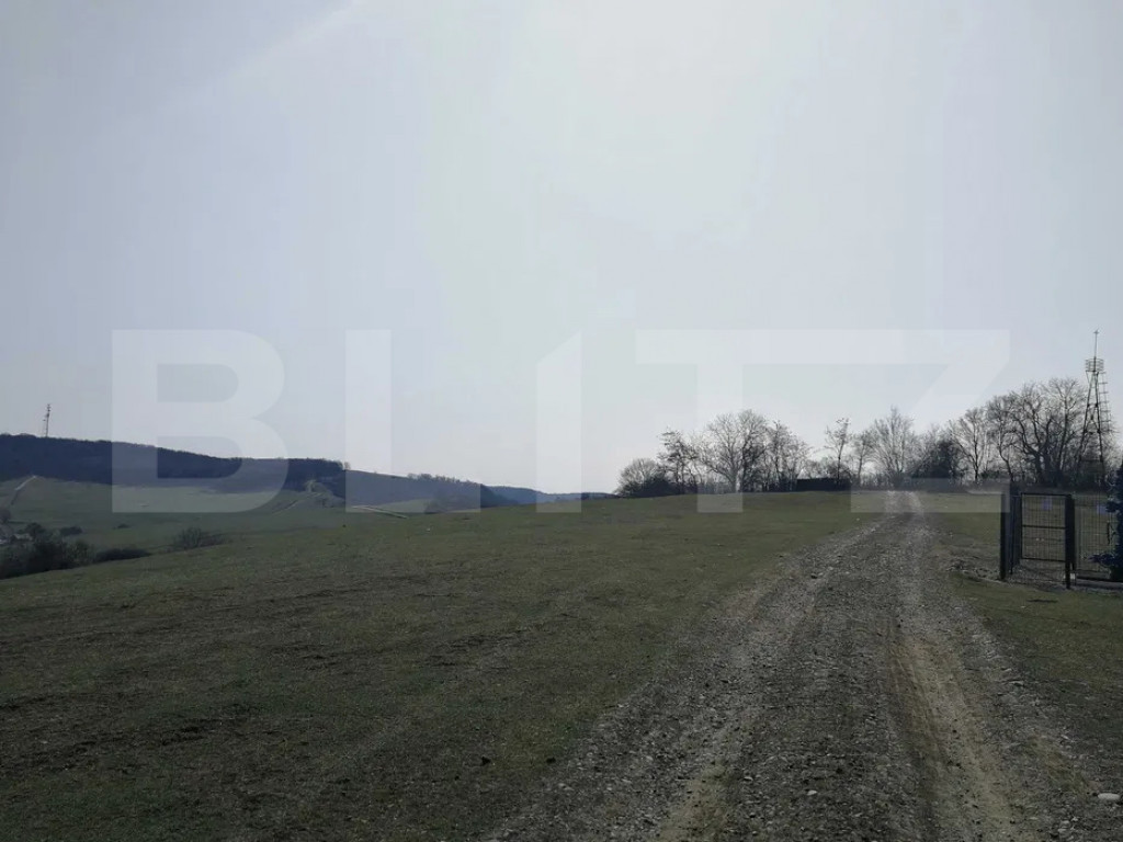 Teren intravilan, 15.904 mp, zona Dambu