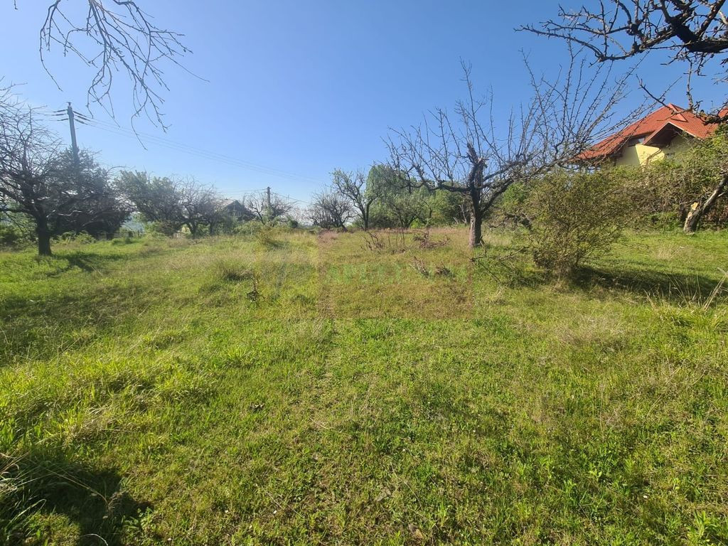 Teren intravilan de vanzare 500 mp in Campina, Oportunitate