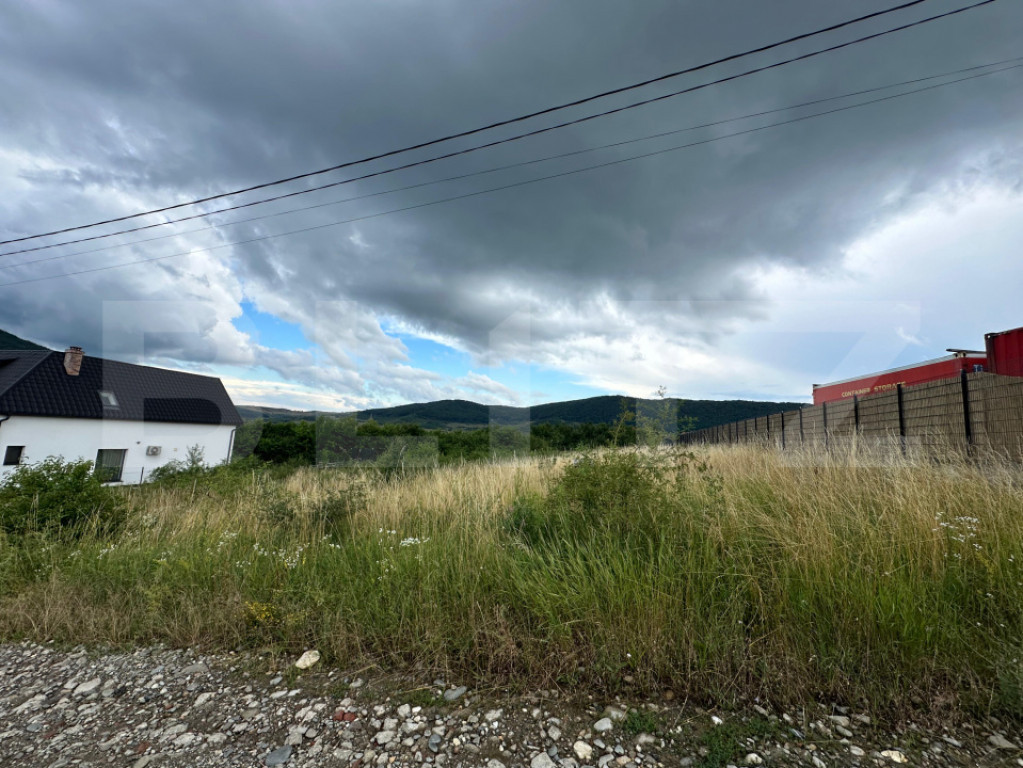 Teren de vânzare – Viișoara, spre Crainimăt | 2.500 mp