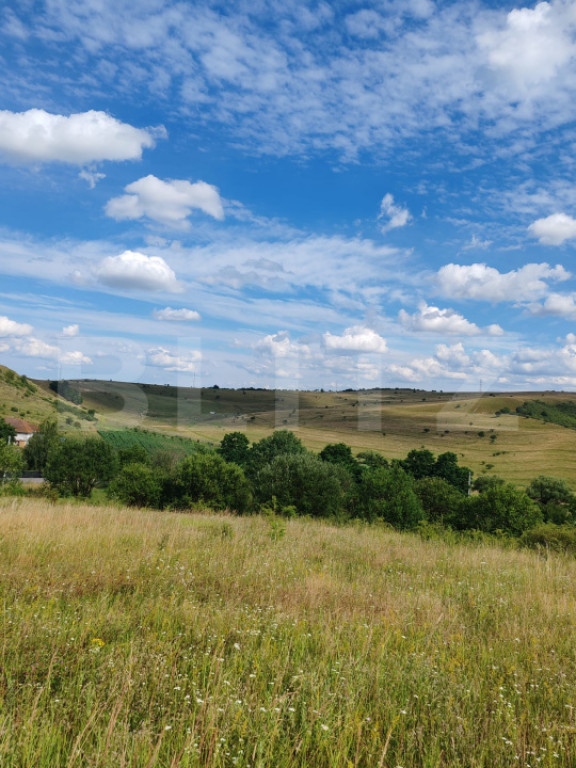 Teren intravilan ideal pentru casa, 4300mp, Deusu -Chinteni