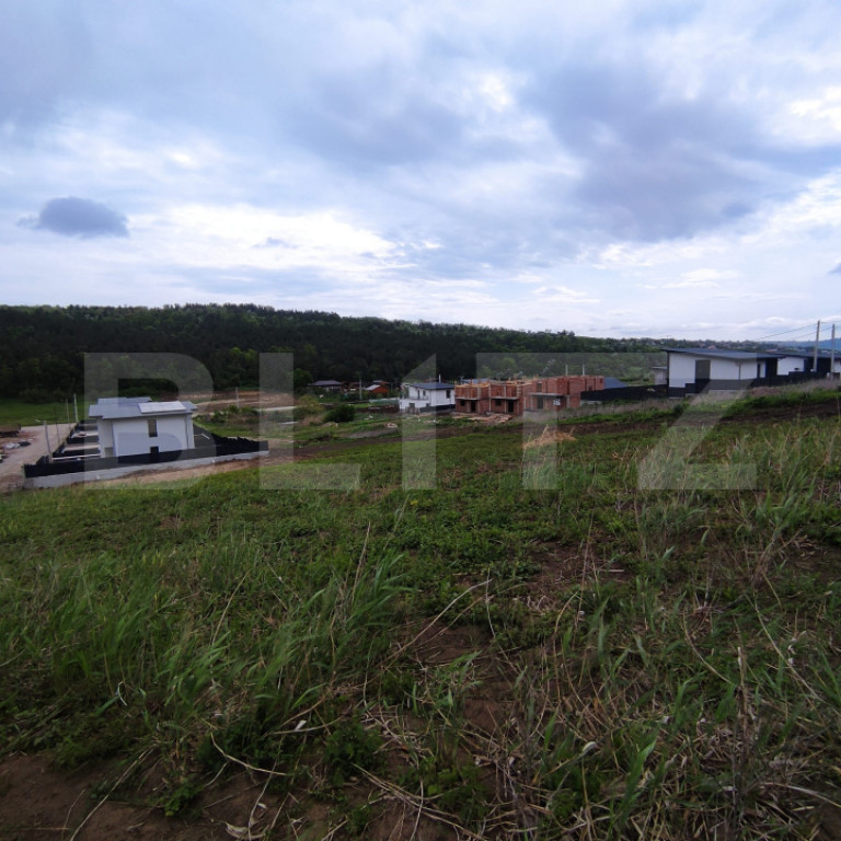 Teren de vânzare în Valea Lupului – Strada Lacului | 2 p