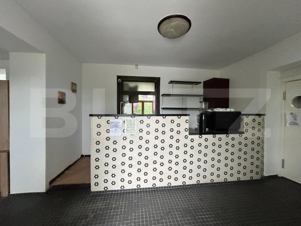 Spatiu Comercial de Inchiriat / Salva - cu terasa si curte i