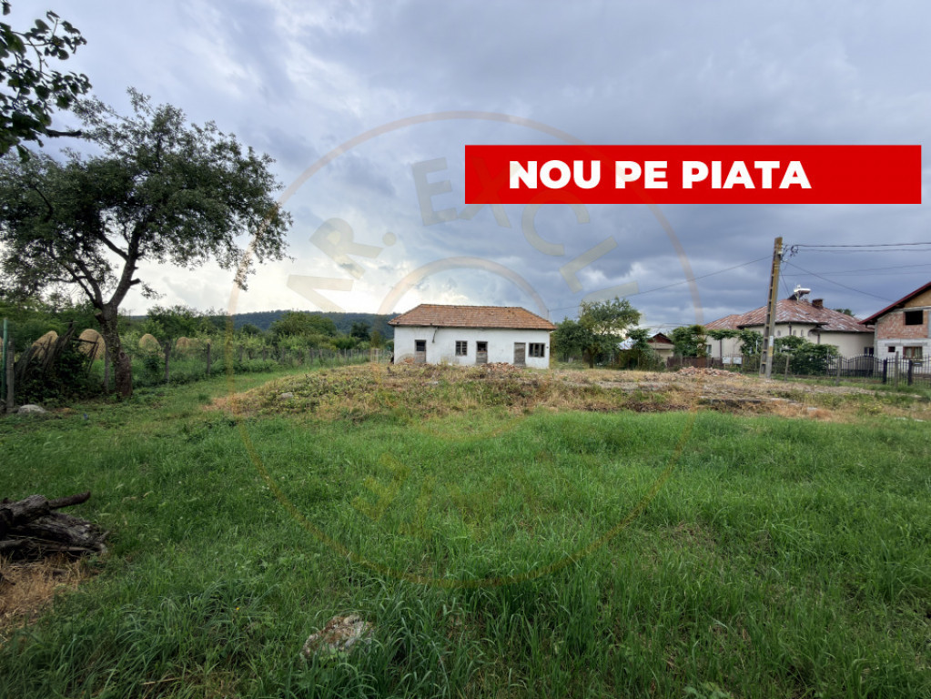 Teren intravilan – 2.109 mp | Albești - Transfagarasan -