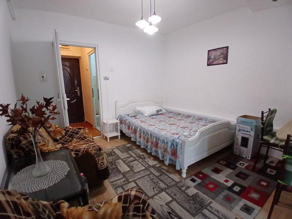 Apartament cu 1 cameră în Alexandru cel Bun disponibil ime